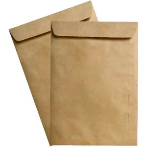 ENVELOPE SACO KRAFT 162x229mm (Unidade) - FORONI